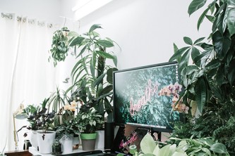 python如何转为二进制